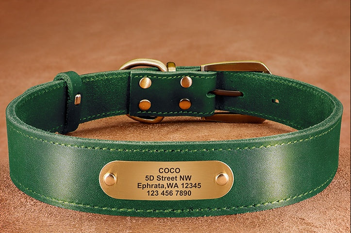 Personalized Dog Collars with Nameplate ID Tags for Medium Large Dogs