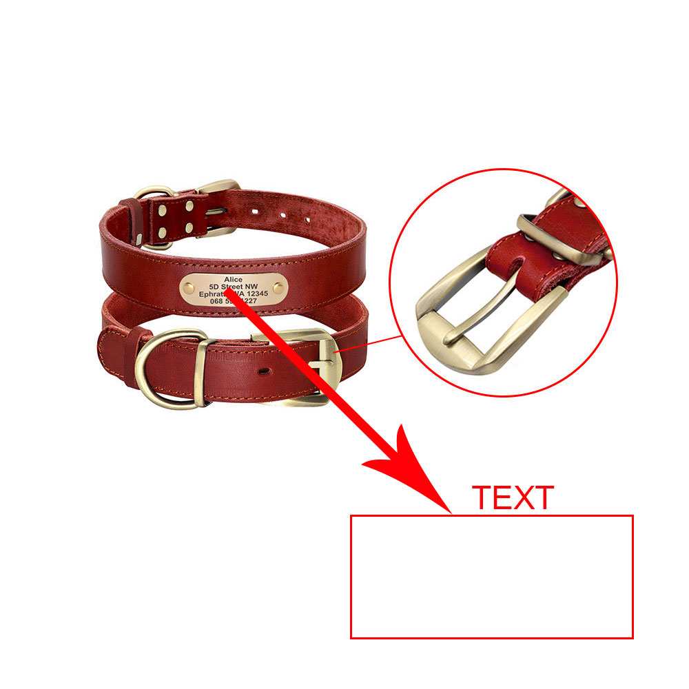 Personalized Dog Collars with Nameplate ID Tags for Medium Large Dogs